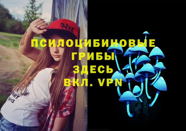 Альфа ПВП Баксан