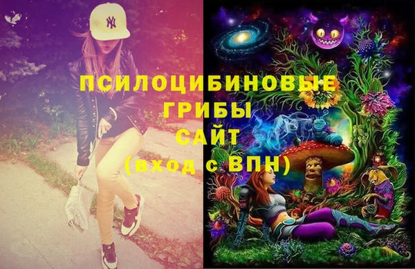 спиды Арсеньев