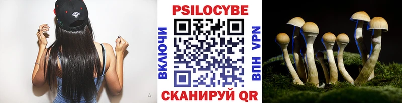 Псилоцибиновые грибы MAGIC MUSHROOMS  купить наркоту  Тюкалинск 